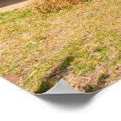 Poster Historic Stone Cottage Rustic Farmhouse Charme (Coin)