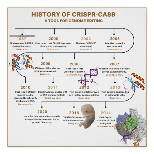 Poster Historique de l'édition du génome CRISPR (Devant)