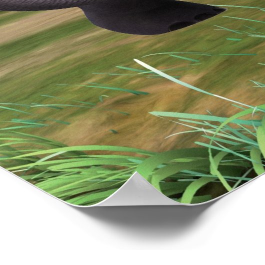 Poster Hita 2 (Coin)