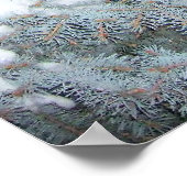 Poster Hiver (Coin)