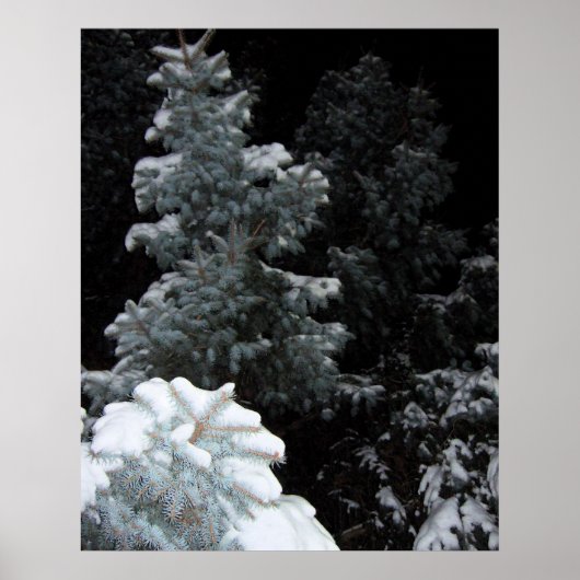 Poster Hiver (Devant)