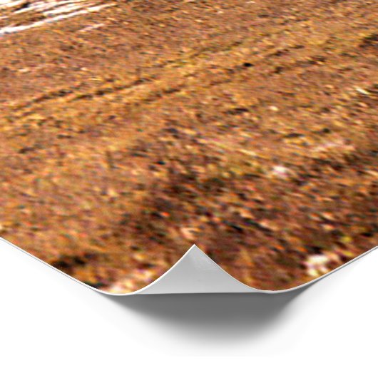 Poster Hiver....... (Coin)