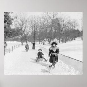 Poster Hiver à Central Park, 1900. Photo ancienne