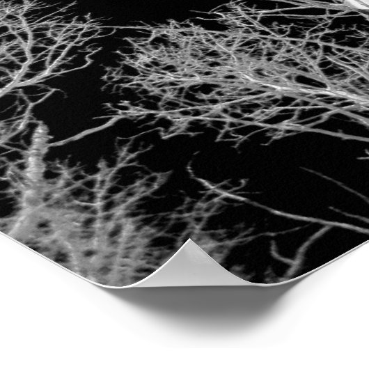 Poster Hiver Aspen Trees - Ciel noir (Coin)