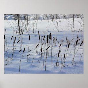 Poster Hiver au Québec