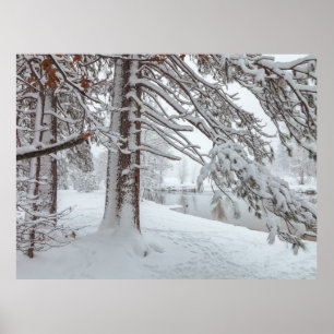 Poster Hiver blanc