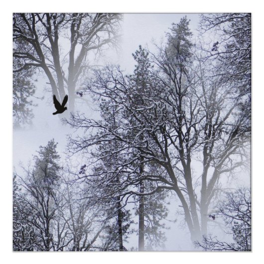 Poster Hiver Corbeau... (Devant)