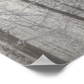 Poster Hiver dans la forêt nationale de Pike (Coin)
