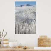 Poster Hiver dans la forêt nationale de Pike (Cuisine)