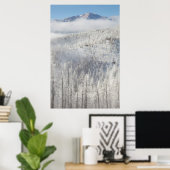 Poster Hiver dans la forêt nationale de Pike (Bureau à domicile)