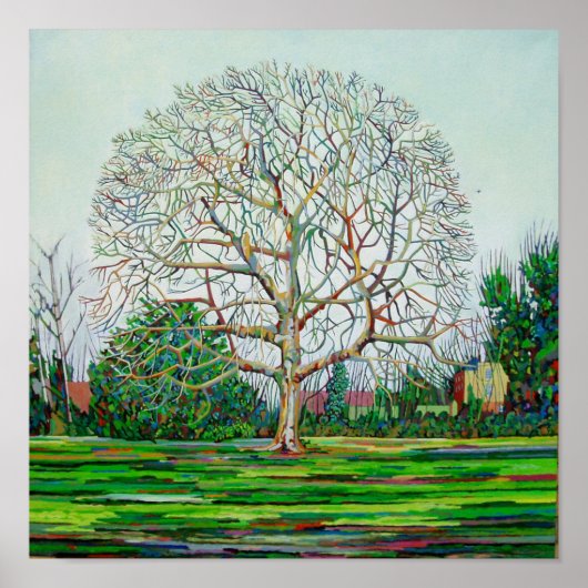 Poster Hiver de l'arbre à boeufs (Devant)