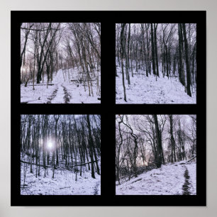 Poster Hiver en quatre scènes