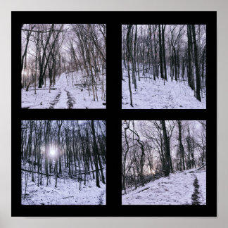 Poster Hiver en quatre scènes