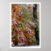 Poster Hiver précoce (Devant)