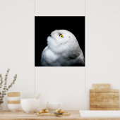 Poster Hivernal Chouette blanche (Cuisine)