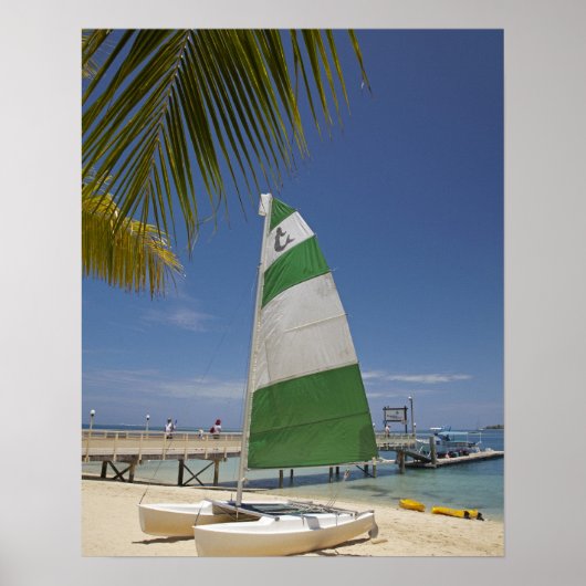Poster Hobie Cat, Plantation Island (Devant)