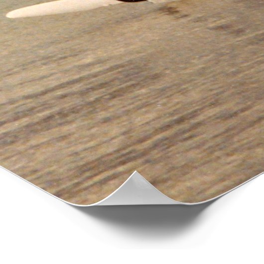 Poster Hobie catamaran prêt à naviguer (Coin)