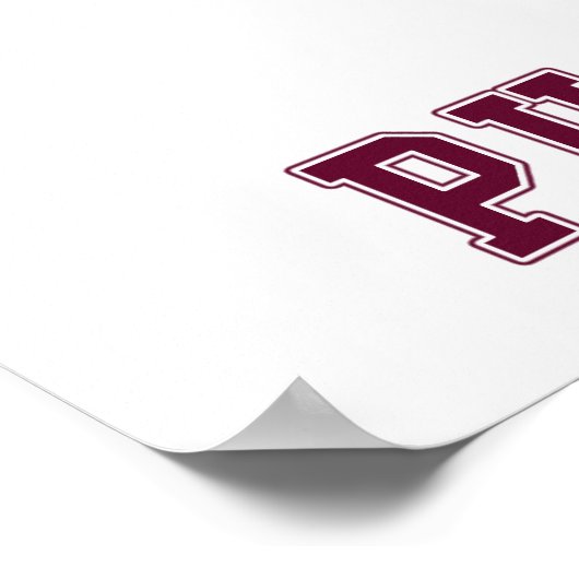 Poster Hockey Puck (Coin)