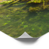 Poster Hodgson Mill (Coin)