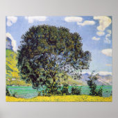 Poster Hodler - Arbre À Brienzersee 1906 (Devant)