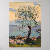 Poster Hodler - Meadow 1890 (Devant)