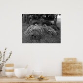 Poster Hogs Head, Bute Park, Cardiff (Cuisine)