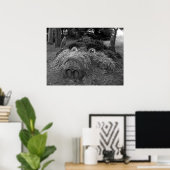 Poster Hogs Head, Bute Park, Cardiff (Bureau à domicile)