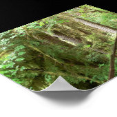 Poster Hoh Valley Rainforest Trail (Hoek)