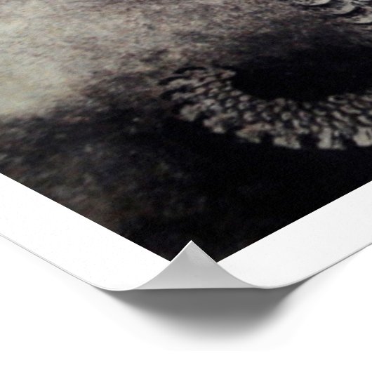 Poster Hokusai - Dragon Scrolls (Coin)