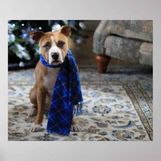 Poster Holiday Cheer from Pit Bull Rescue Dog (Devant)