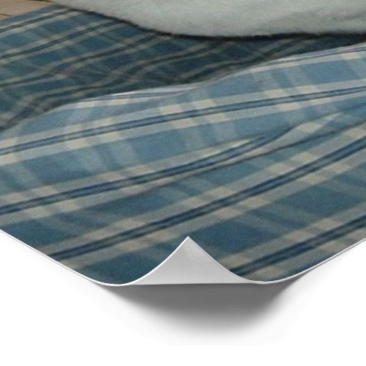 Poster Holla !/Bonjour (Coin)