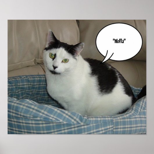 Poster Holla !/Bonjour (Devant)