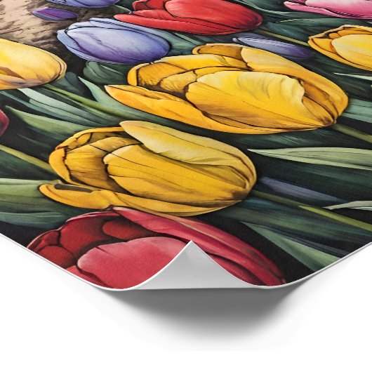 Poster Holland Tulips Field Tulip Art (Coin)