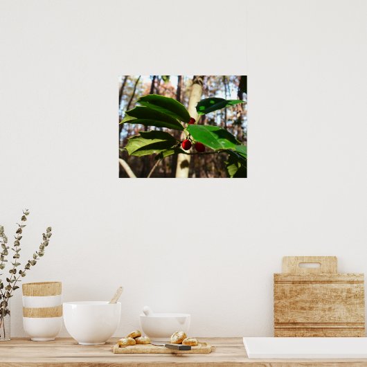 Poster Holly Leaves (Cuisine)