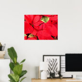 Poster Holly Point Poinsettias vacances Floral (Bureau à domicile)