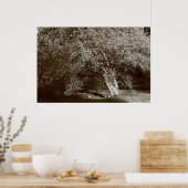 Poster Holly Tree - Sepia (Cuisine)