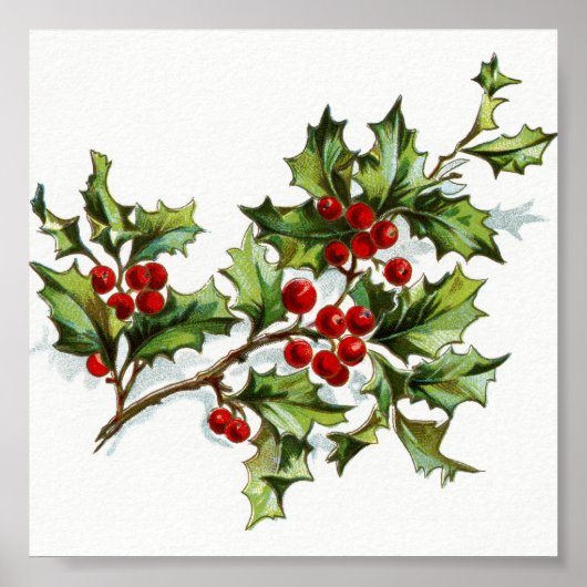 Poster HollyBerries20150801 (Devant)