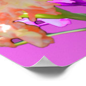 Poster Hollyhock Elegance, (Coin)