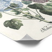 Poster Hollyhocks (Coin)