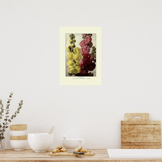Poster Hollyhocks (Cuisine)