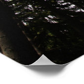 Poster Hollywood (Coin)