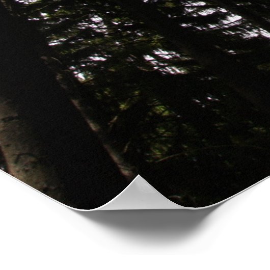 Poster Hollywood (Coin)