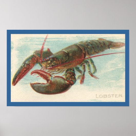 Poster Homard (Devant)