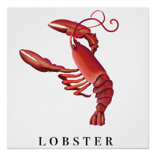 Poster Homard