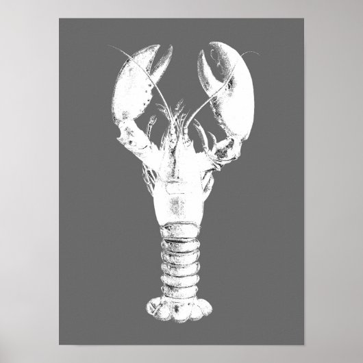 Poster Homard blanc sur gris / gris (Devant)