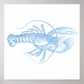 Poster Homard bleu (Devant)