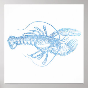 Poster Homard bleu