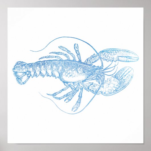 Poster Homard bleu (Devant)