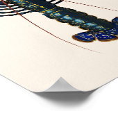 Poster Homard - Homard Commun (Coin)