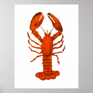 Poster Homard rouge